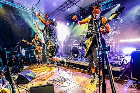 FERTOIS METAL FEST (ROCK METAL MAG)